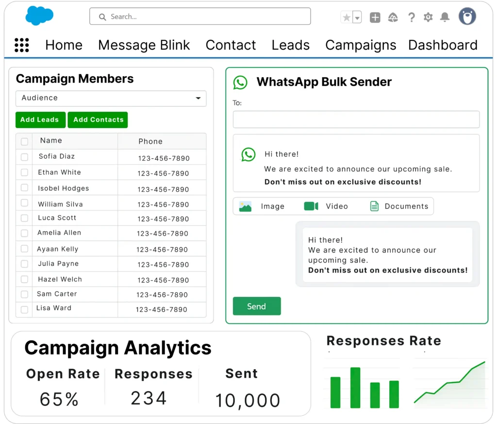 whatsapp-marketing-in-salesforce