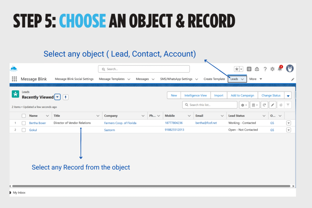Select a salesforce object