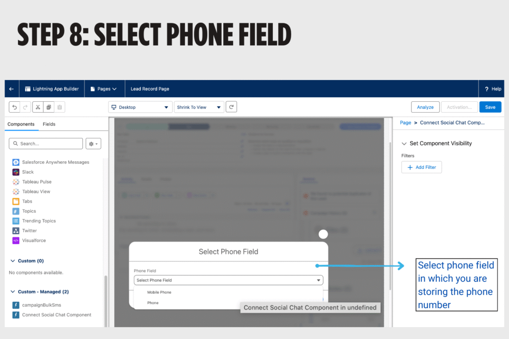 Select salesforce phone field 