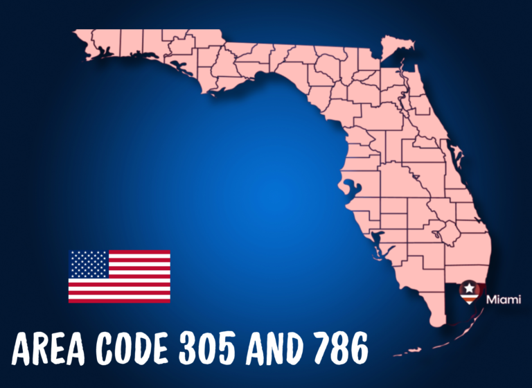 message-blink-area-code-305-786-miami-florida