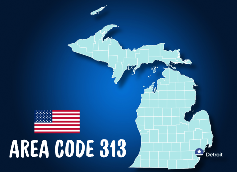 message-blink-area-code-313-detroit-michigan
