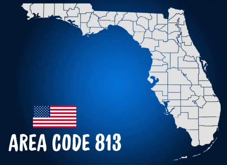 813 area code