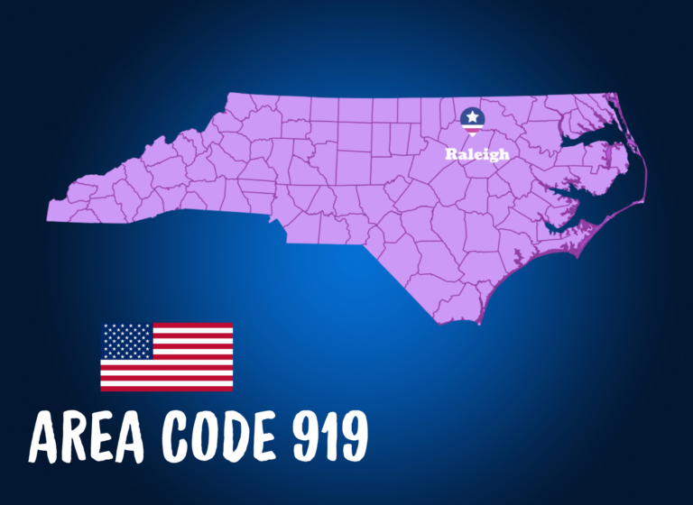 message-blink-area-code-919-raleigh-north-carolina